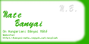 mate banyai business card